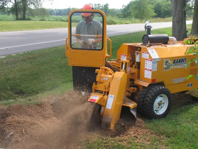Central Kentucky Tree Service
